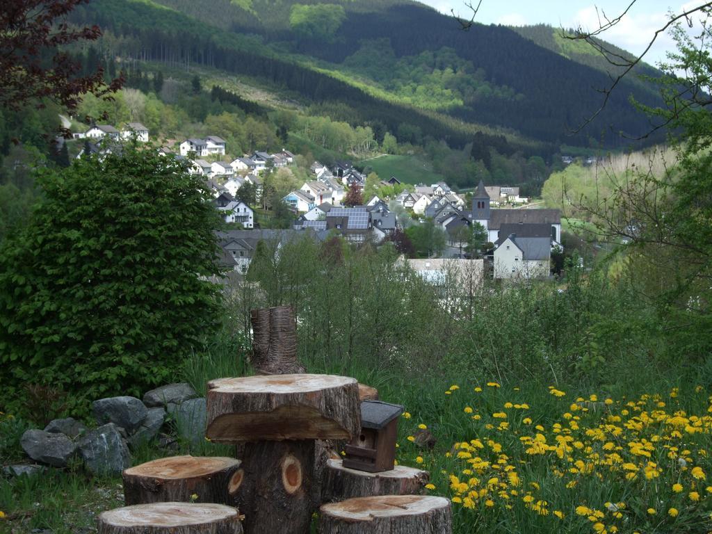 Haus Mittelberg Apartment Олсберг Стая снимка