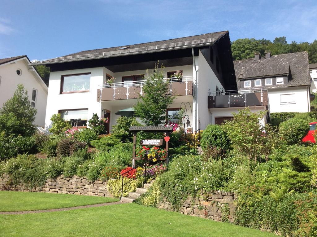 Haus Mittelberg Apartment Олсберг Екстериор снимка