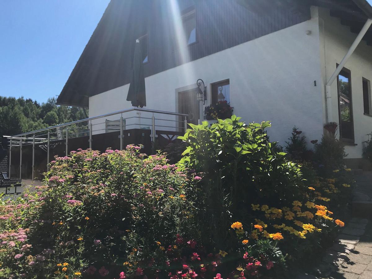 Haus Mittelberg Apartment Олсберг Екстериор снимка